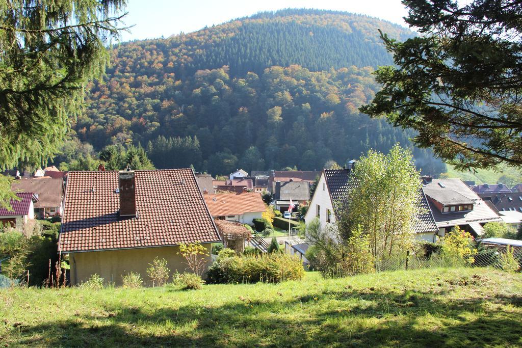Haus Panoramablick Villa Sieber ห้อง รูปภาพ